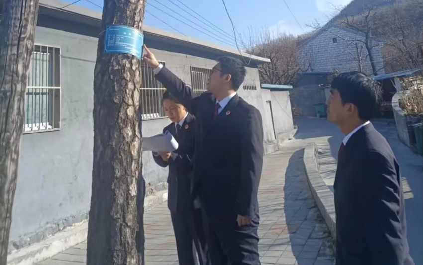 保护古树 人人有责